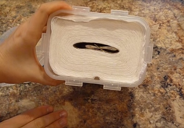She Cut This Paper Towel, Suddenly It Was Soaking Wet. The Reason Why Is Pure Genius... - picture 4