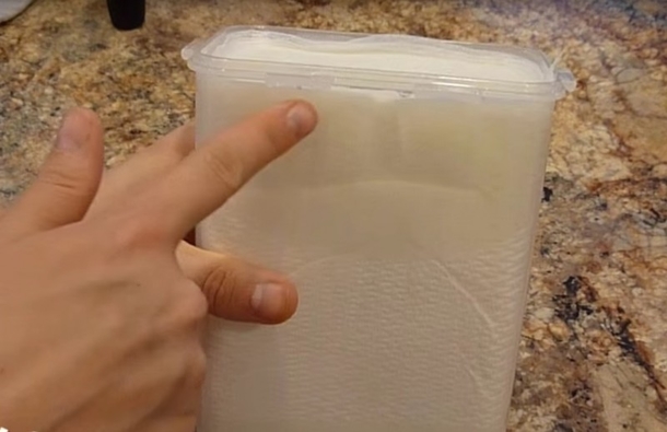 She Cut This Paper Towel, Suddenly It Was Soaking Wet. The Reason Why Is Pure Genius... - picture 8