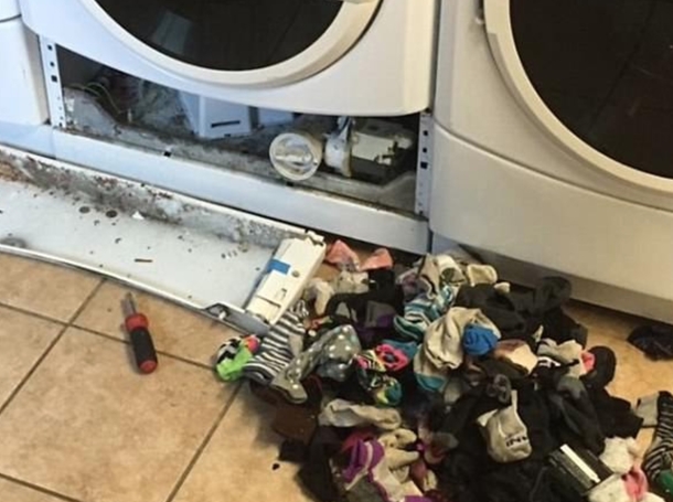 She Discovered Something When She Took Apart Her Dryer Has The Internet Going In A Frenzy - picture 3