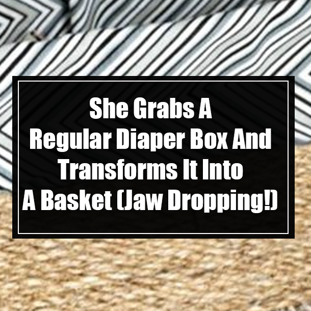 She Grabs A Regular Diaper Box And Transforms It Into A Basket (Jaw Dropping!)