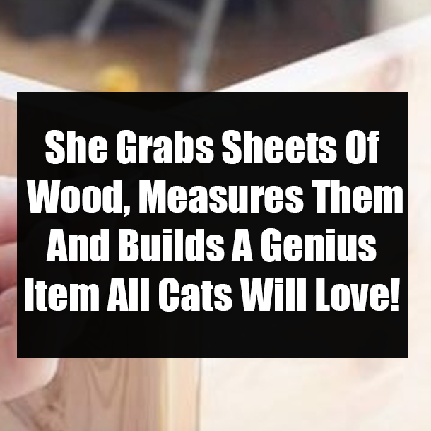 She Grabs Sheets Of Wood, Measures Them And Builds A Genius Item All Cats Will Love!
