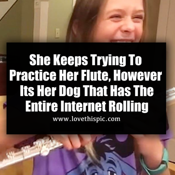 She Keeps Trying To Practice Her Flute, However Its Her Dog That Has The Entire Internet Rolling