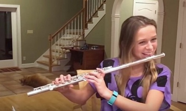 She Keeps Trying To Practice Her Flute, However Its Her Dog That Has The Entire Internet Rolling - picture 2