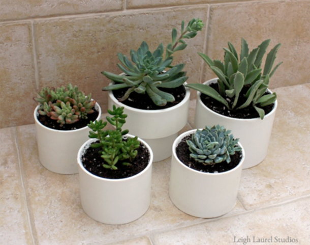 She Places PVC Pipes In The Bathroom, What Is Created Is Something Very Useful! - picture 3