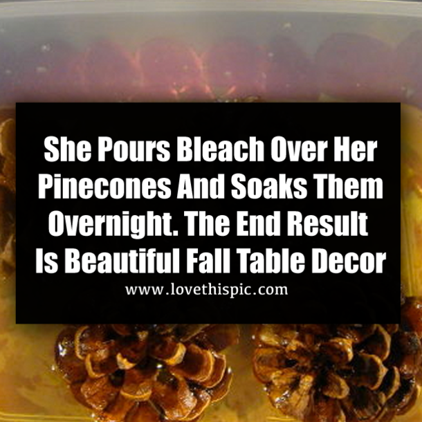 She Pours Bleach Over Her Pinecones And Soaks Them Overnight. The End Result Is Beautiful Fall Table Decor