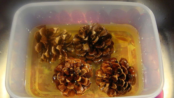 She Pours Bleach Over Her Pinecones And Soaks Them Overnight. The End Result Is Beautiful Fall Table Decor - picture 2