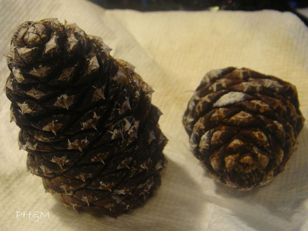 She Pours Bleach Over Her Pinecones And Soaks Them Overnight. The End Result Is Beautiful Fall Table Decor - picture 3