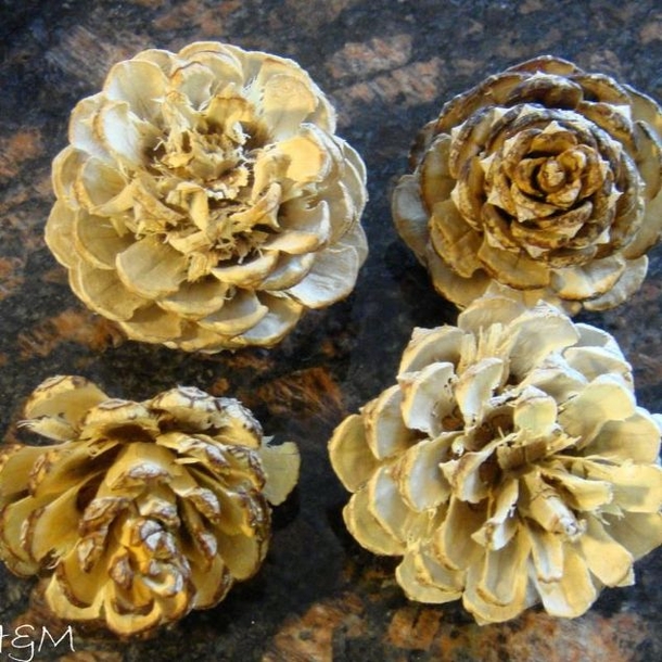 She Pours Bleach Over Her Pinecones And Soaks Them Overnight. The End Result Is Beautiful Fall Table Decor - picture 4