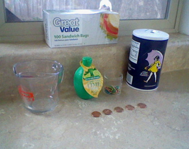 She Put Pennies In A Bag Filled With Water On Her Back Porch For The ENTIRE Summer! Good To Know! - picture 2