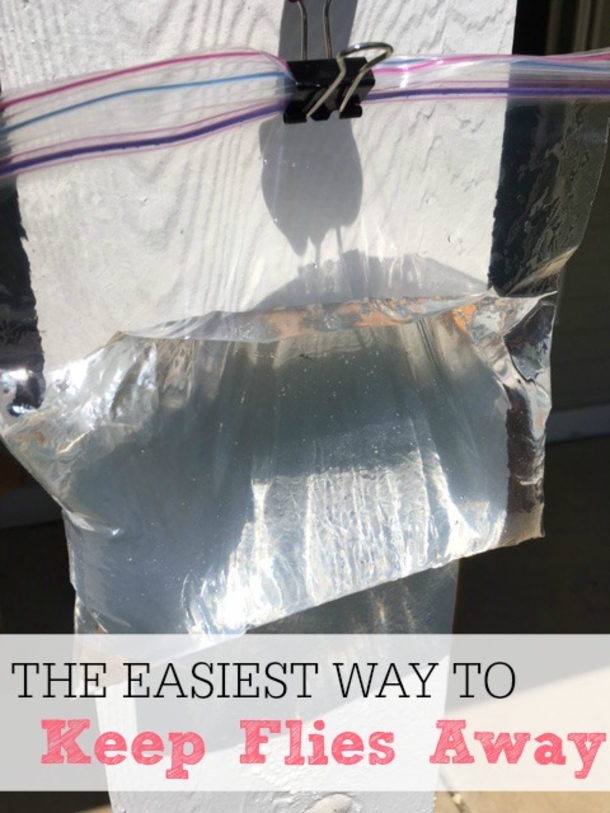 She Put Pennies In A Bag Filled With Water On Her Back Porch For The ENTIRE Summer! Good To Know! - picture 5