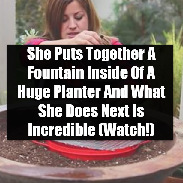 She Puts Together A Fountain Inside Of A Huge Planter And What She Does Next Is Incredible (Watch!)