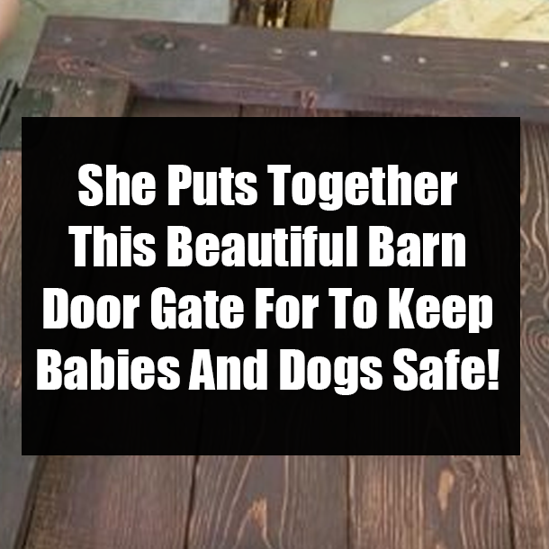 She Puts Together This Beautiful Barn Door Gate For To Keep Babies And Dogs Safe!