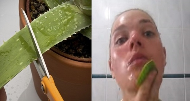 She Rubs Aloe Vera On Her Face Each Day, Now After 7 Days? Beautiful - picture 2