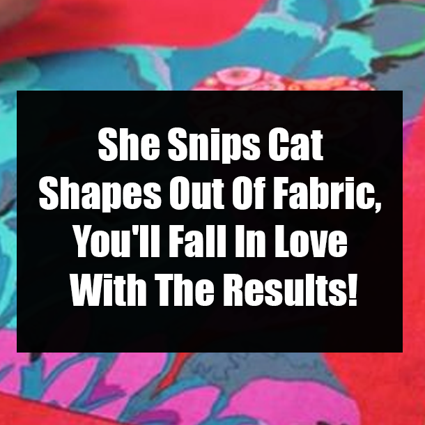 She Snips Cat Shapes Out Of Fabric, You'll Fall In Love With The Results!