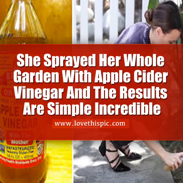 She Sprayed Her Yard With Apple Cider... The Reason? This Is Pure GENIUS!
