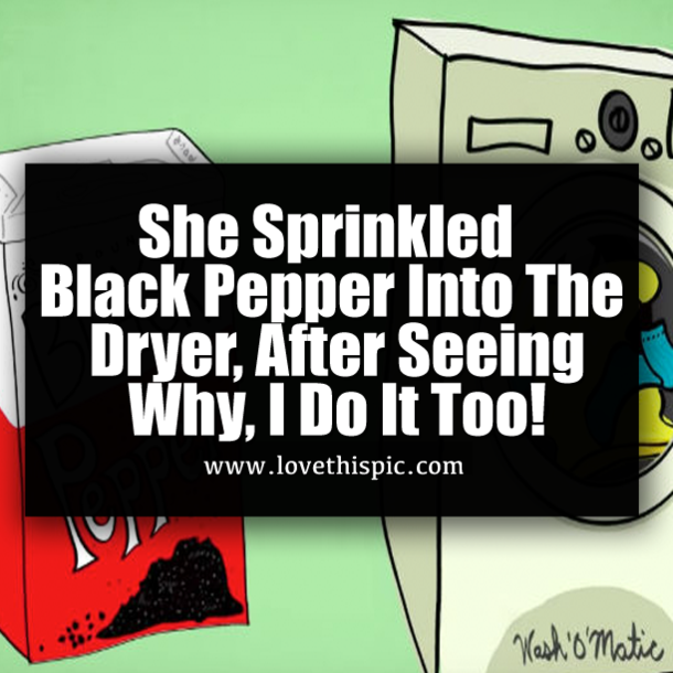 She Sprinkled Black Pepper Into The Dryer, After Seeing Why, I Do It Too!