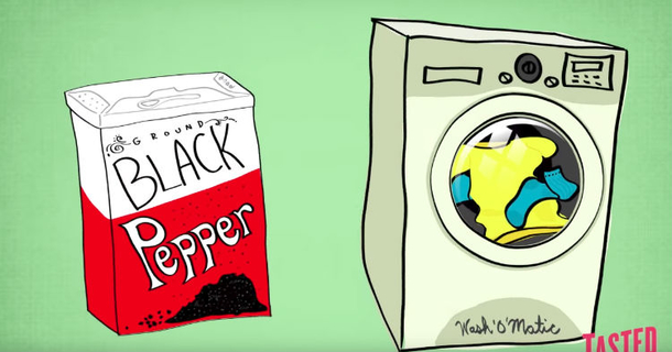 She Sprinkled Black Pepper Into The Dryer, After Seeing Why, I Do It Too! - picture 2