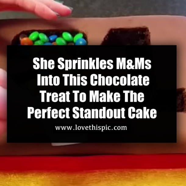 She Sprinkles M&Ms Into This Chocolate Treat To Make The Perfect Standout Cake
