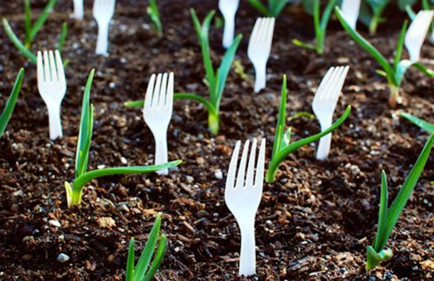 She Sticks Plastic Forks In The Soil To Solve A Very Common Problem. Amazing... Her Ideas Are Brilliant! - picture 11