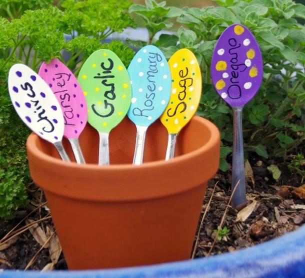 She Sticks Plastic Forks In The Soil To Solve A Very Common Problem. Amazing... Her Ideas Are Brilliant! - picture 5