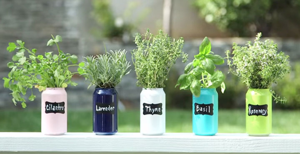 She Sticks Plastic Forks In The Soil To Solve A Very Common Problem. Amazing... Her Ideas Are Brilliant! - picture 9