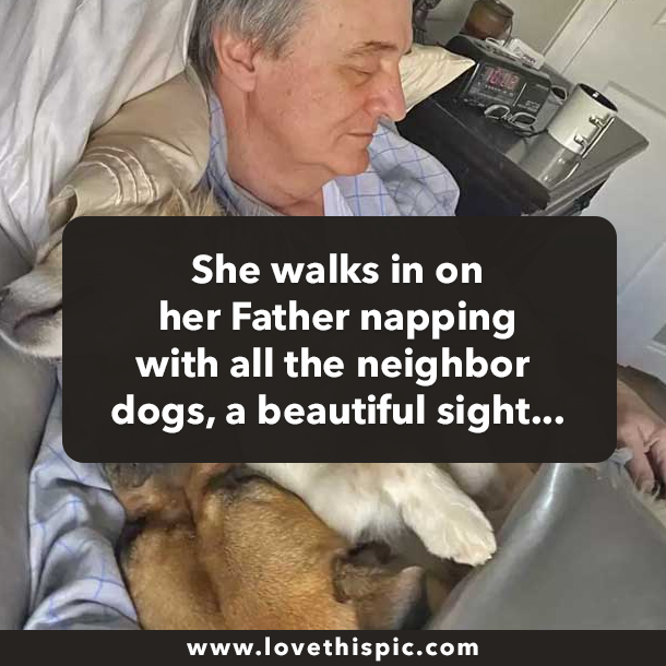 She walks in on her Father napping with all the neighbor dogs, a beautiful sight...
