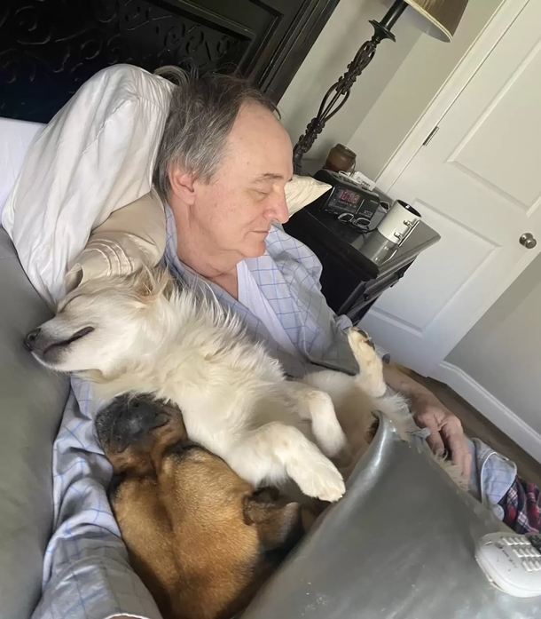 She walks in on her Father napping with all the neighbor dogs, a beautiful sight... - picture 2