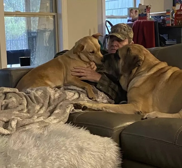 She walks in on her Father napping with all the neighbor dogs, a beautiful sight... - picture 3