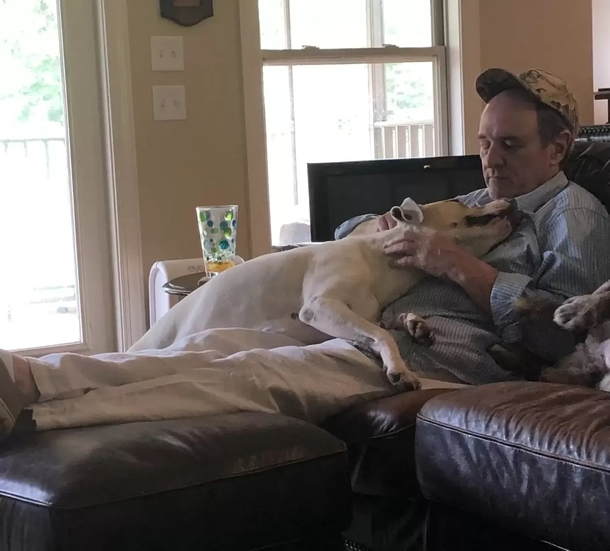She walks in on her Father napping with all the neighbor dogs, a beautiful sight... - picture 4