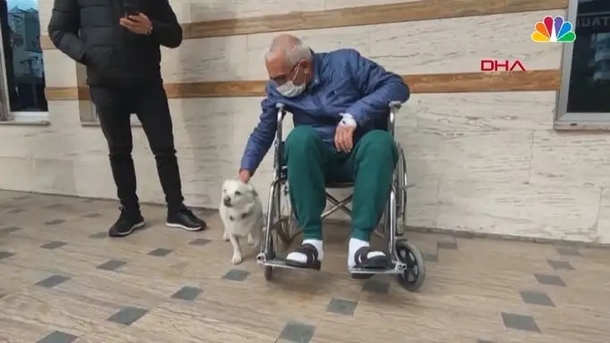 She walks in on her Father napping with all the neighbor dogs, a beautiful sight... - picture 6
