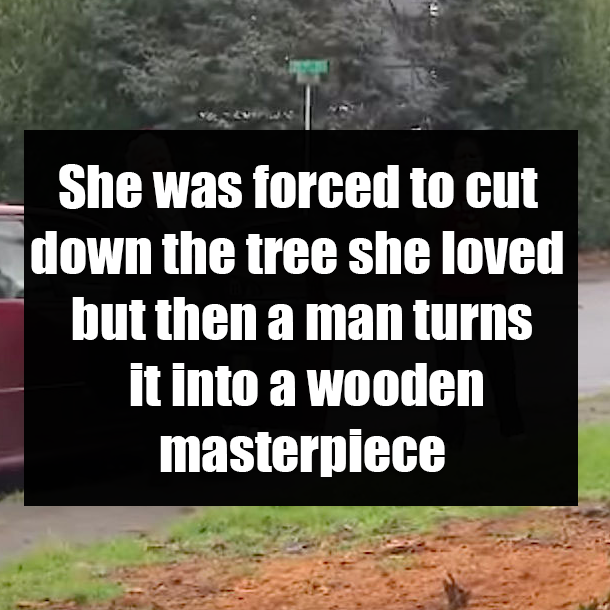 She was forced to cut down the tree she loved but then a man turns it into a wooden masterpiece