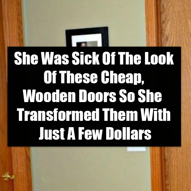 She Was Sick Of The Look Of These Cheap, Wooden Doors So She Transformed Them With Just A Few Dollars