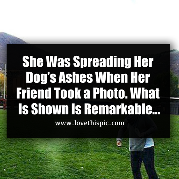 She Was Spreading Her Dog’s Ashes When Her Friend Took a Photo. What Is Shown Is Remarkable...