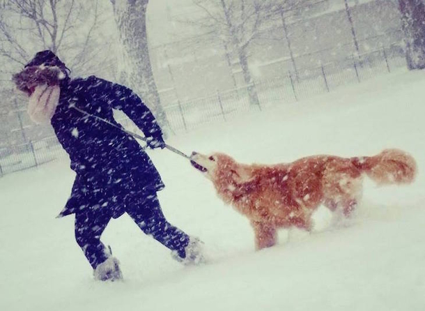 She Was Spreading Her Dog’s Ashes When Her Friend Took a Photo. What Is Shown Is Remarkable... - picture 4