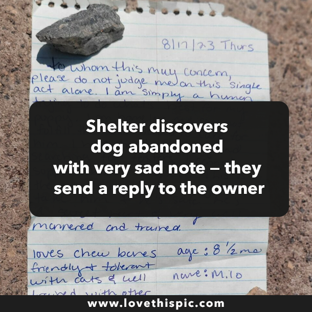 Shelter discovers dog abandoned with very sad note — they send a reply to the owner