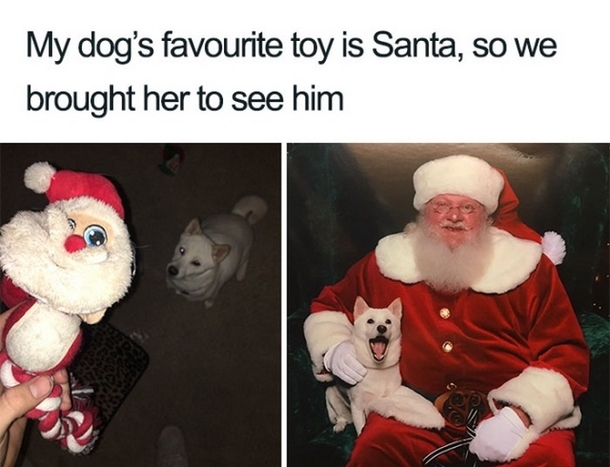 Silly Christmas Memes To Get You In The Holiday Spirit Right Now - picture 2