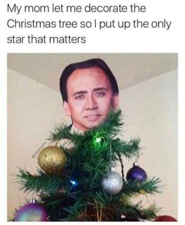 Silly Christmas Memes To Get You In The Holiday Spirit Right Now - picture 5