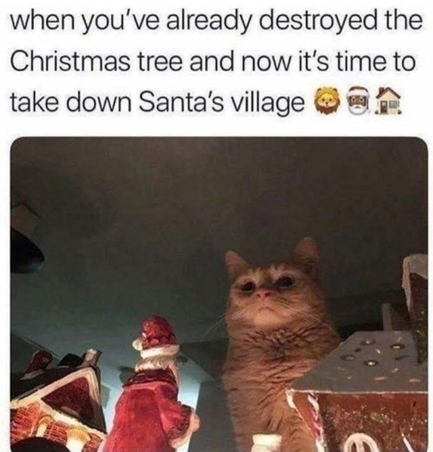 Silly Christmas Memes To Get You In The Holiday Spirit Right Now - picture 8