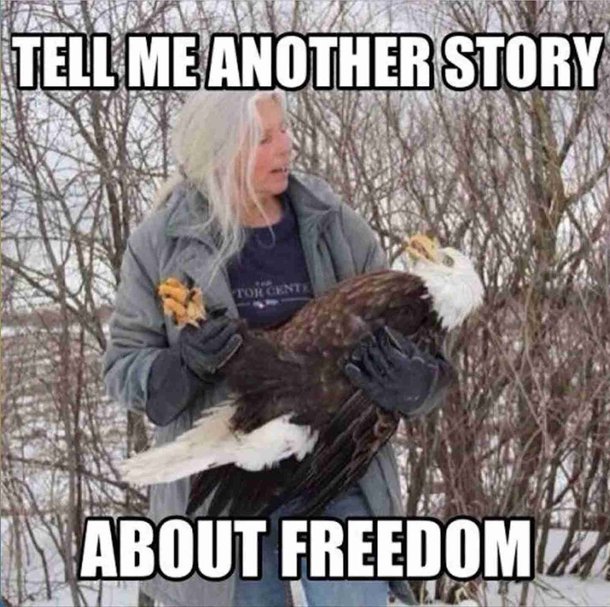Silly & Funny Memorial Day Memes For 2023 - picture 3