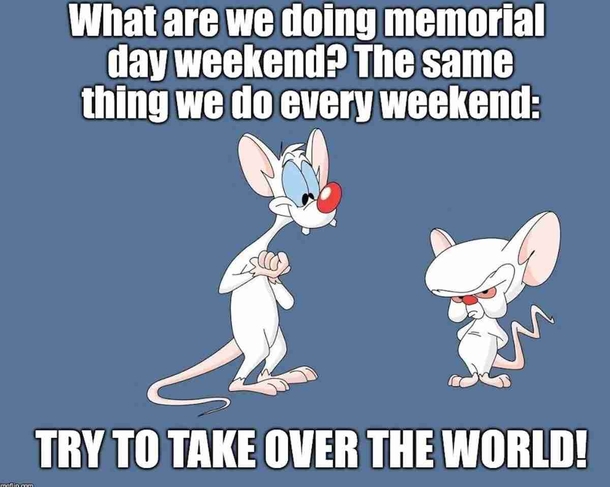Silly & Funny Memorial Day Memes For 2023 - picture 5