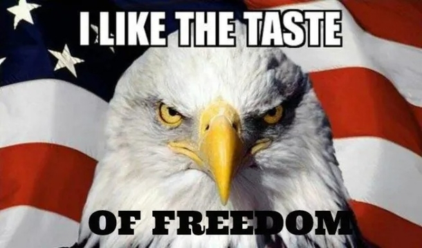 Silly & Funny Memorial Day Memes For 2023 - picture 6