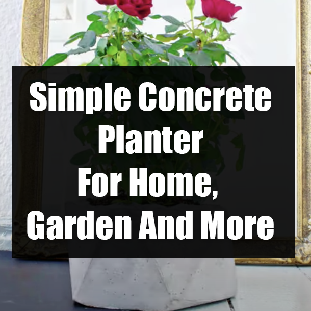 Simple Concrete Planter For Home, Garden And More