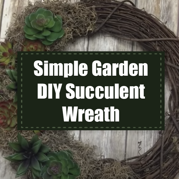 Simple Garden DIY Succulent Wreath