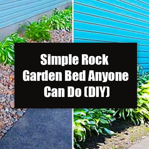 Simple Rock Garden Bed Anyone Can Do (DIY)