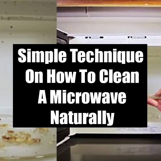 Simple Technique On How To Clean A Microwave Naturally