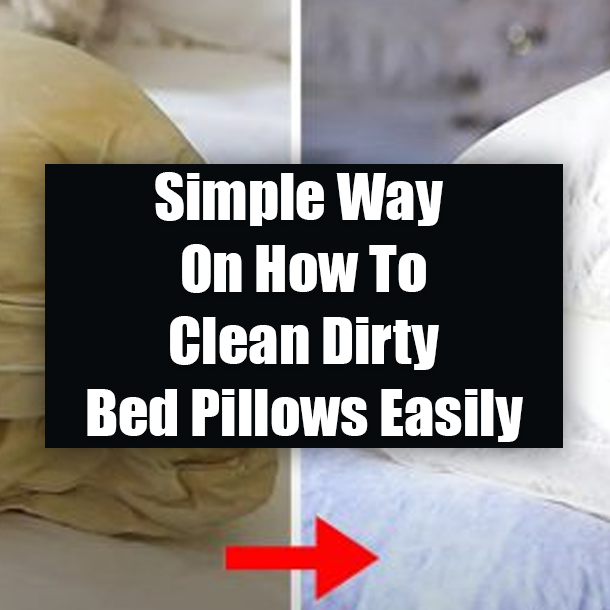 Simple Way On How To Clean Dirty Bed Pillows Easily