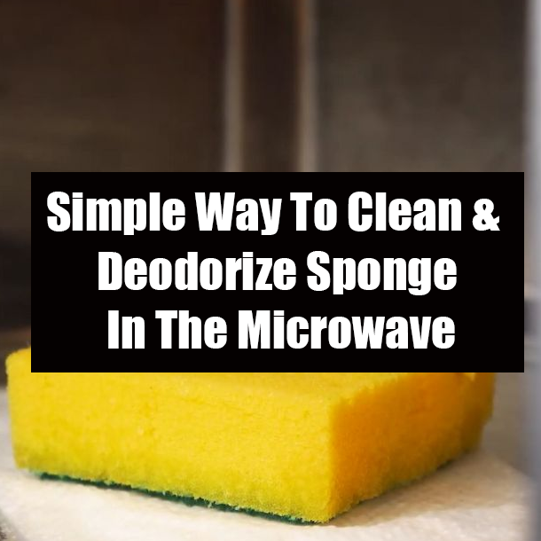 Simple Way To Clean & Deodorize Sponge In The Microwave