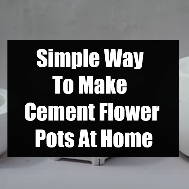 Simple Way To Make Cement Flower Pots At Home