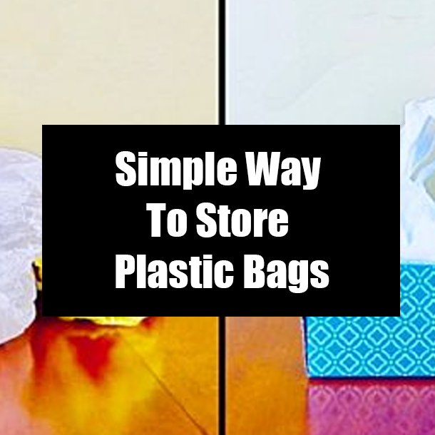 Simple Way To Store Plastic Bags