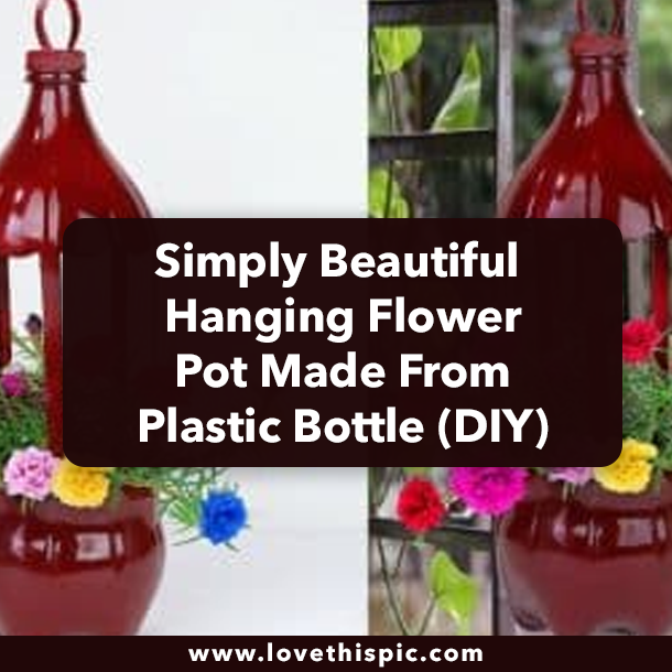Simply Beautiful Hanging Flower Pot Made From Plastic Bottle (DIY)